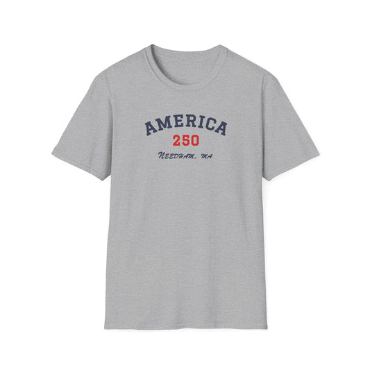 Needham 250: Classic Softstyle T-Shirt