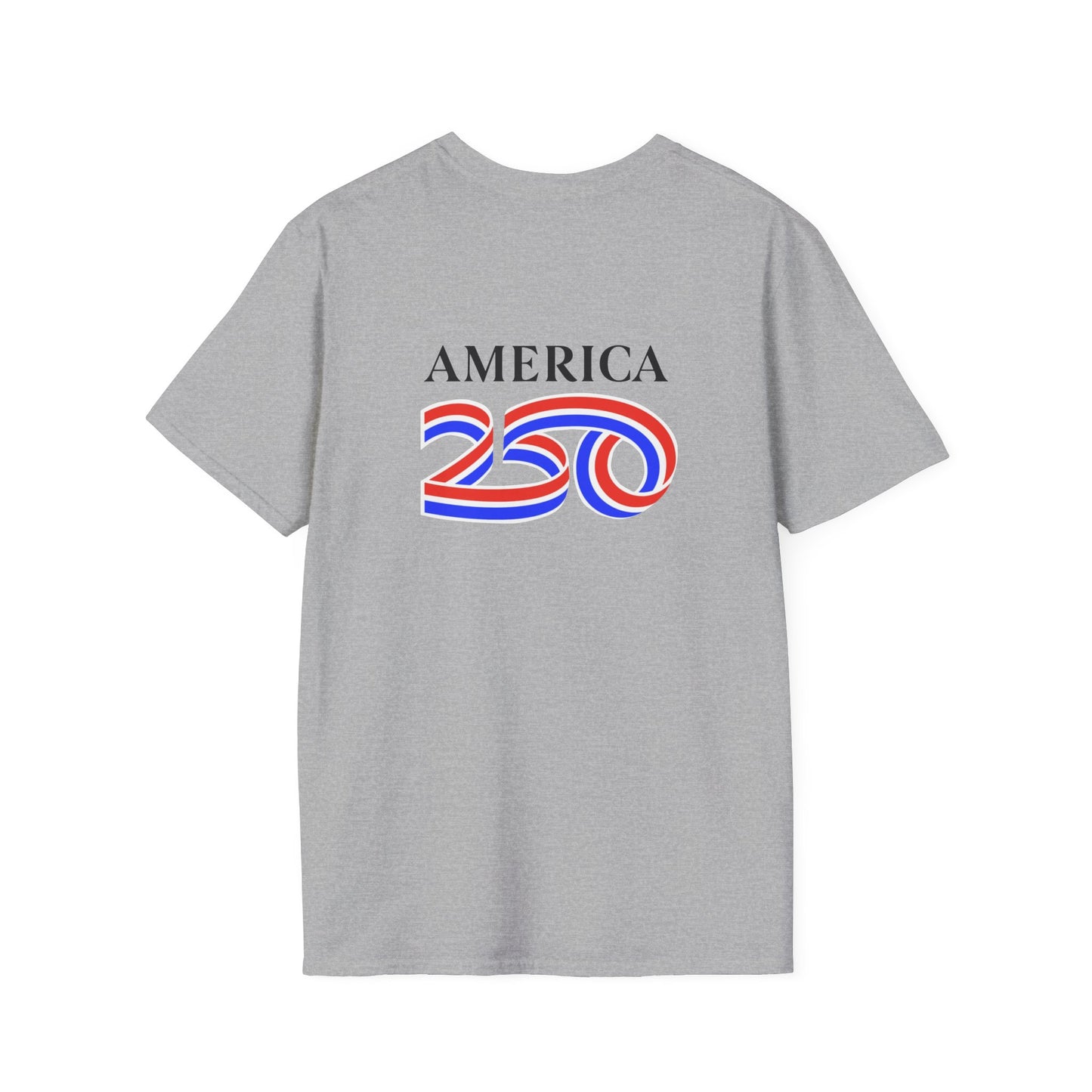 Flag + NEC logo: Classic Softstyle T-Shirt