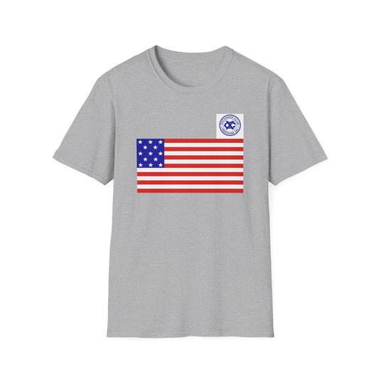 Flag + NEC logo: Classic Softstyle T-Shirt