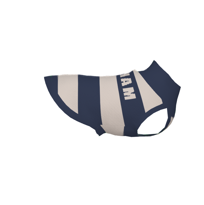 The Namesake: Striped Pet Sweater