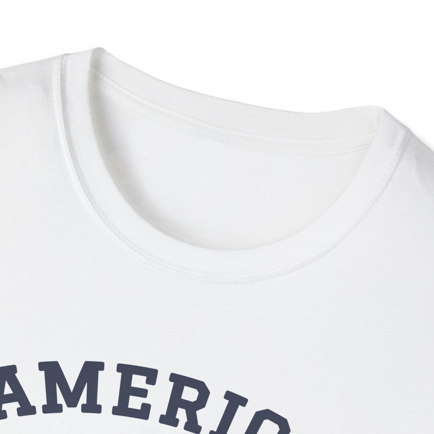 Needham 250: Classic Softstyle T-Shirt