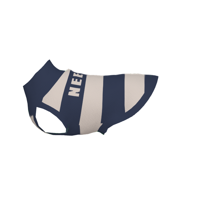 Needham Namesake: Striped Pet Sweater